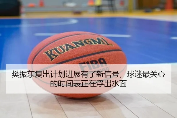 樊振东复出计划进展有了新信号，球迷最关心的时间表正在浮出水面